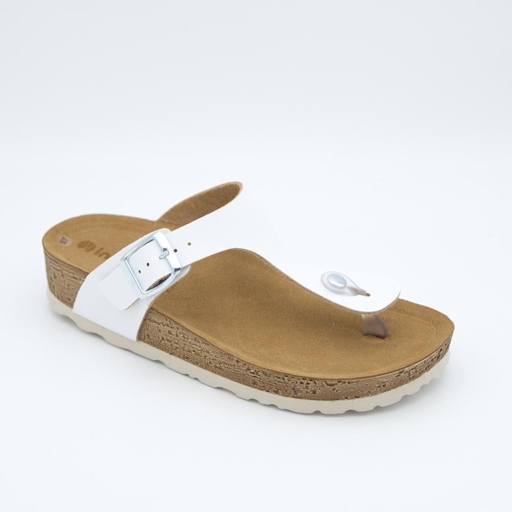 01309_8|3e870f227e0eef7b14a8537453c8fb90